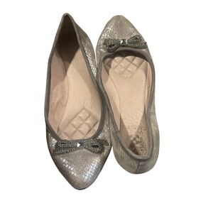 Elegant Silver Ballet Flats